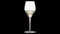 Allround Glass Aubergine Spirit Set Of 2 - Clear