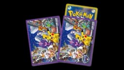 Japan Championships 2018 Sleeves