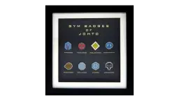 Johto Gym Badges Complete Set