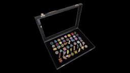 Monster Generation 1-6 Gym Badge Collection Box