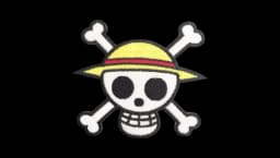 Straw Hat Pirates Embroided Patch - Multicolor