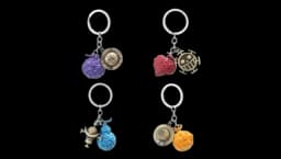 Devil Fruit Keychain 4 Pieces Set