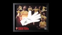 25/26 Raya Framed Signed Glove