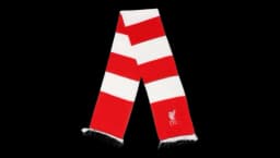 Bar Scarf - Red/White