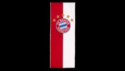 Vertical flag with logo 400x150 cm - Multicolor