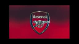 FC Arsenal Press Confernece Backdrop - Multicolor