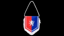 Red & Blue OL Pennant