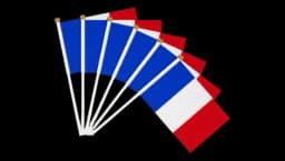 French Hand Held Flags 15 Pcs