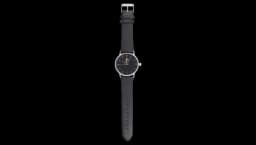 Belgium FA Leather Strap Classic Watch