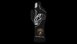 Limited Edition Tech-1 ZX V4 Gloves FIA - Black/White/Multicolor