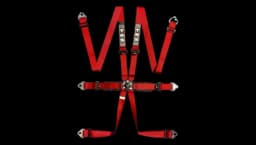 Pro International Standard / Superlite / Ultralite 6 Point Saloon Harness