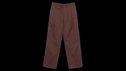 Pleated Trousers - Brown