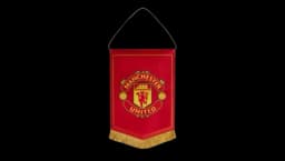 Crest Pennant - Red/Yellow