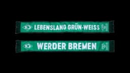 Scarf Home - Green/White