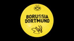 Erling Haaland Signed Branded Football - Yellow/Black