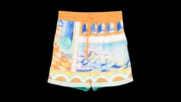 Surreal Pool Shorts - Multicolor