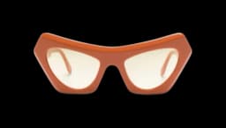 Devil's Pool Cat-Eye Frame Sunglasses - Pumpkin Orange
