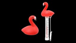 Floating Pool Thermometer