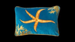 Starfish Embroidered Cushion - Blue/Multicolor