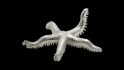 Starfish Silver-Plated Chopstick Rests