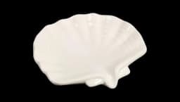 Ceramic Shell Soap Holder - White