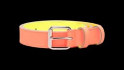 Super Fluo Leather Belt - Fluorescent Orange