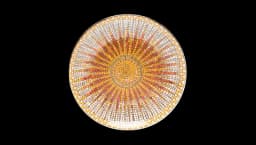 Sun Mosaic Porcelain Plate - Sunset Orange