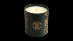 Wild Jungle Scented Candle 220g
