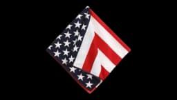 Large Bandana Headband - USA Flag