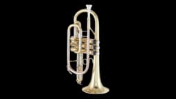 CR 400 Bb-Cornet