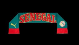 Senegal ftblCulture Scarf - Green/Red/Yellow