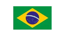 Flag of Brazil 150x240cm