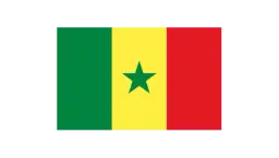 Flag of Senegal 300x450cm