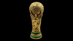 World Football Champion Trophy Stainless Steel Beer Mug