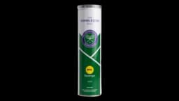 Championships 2026 Tennis Balls - 4 Ball Tin