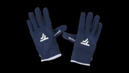 Polar Gloves