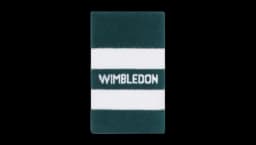 Large Stripe Sweatband - Green & White