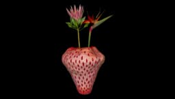 Ceramic Strawberry Vase