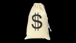 Money Bag Pouch with Drawstring Closure - Beige/Black