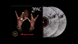 All Eyez On Me 2LP Vinyl (30th Anniversary Edition)