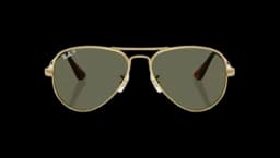 Aviator Max - Polished Arista Gold/Green Polarized