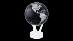 Jet Black & Silver Globe