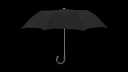 Chestnut Collapsible Umbrella - Black