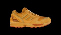 ZX 8000 Consortium Cup END. Future