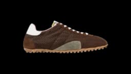 Sprinters - Brown