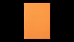 2026-2027 Soho Weekly Diary - Orange