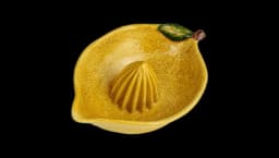 Countryside Citrus Stoneware Lemon Juicer