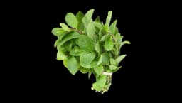 Fresh Mint Leaves 85g