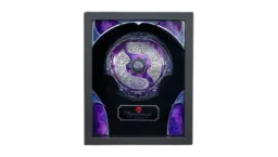 2025 Collector’s Aegis of Champions