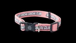Detached Dog Leash & Collar Set - Pink